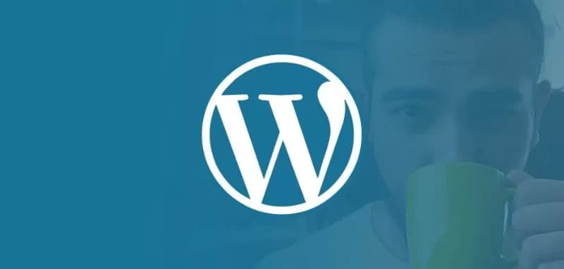 Hiding Unnecessary Menus in the WordPress Admin Panel